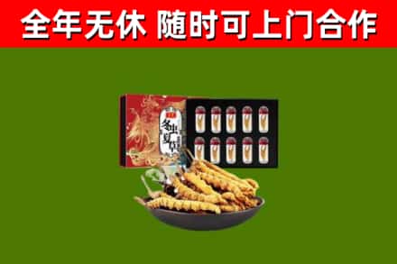 商城县回收冬虫夏草价格