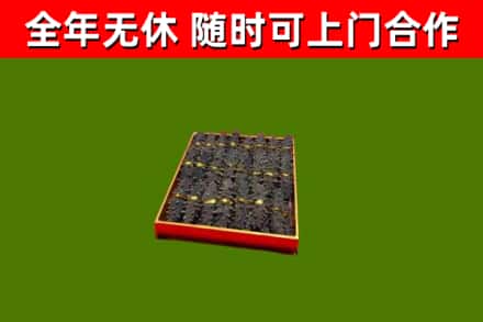 商城县回收海参